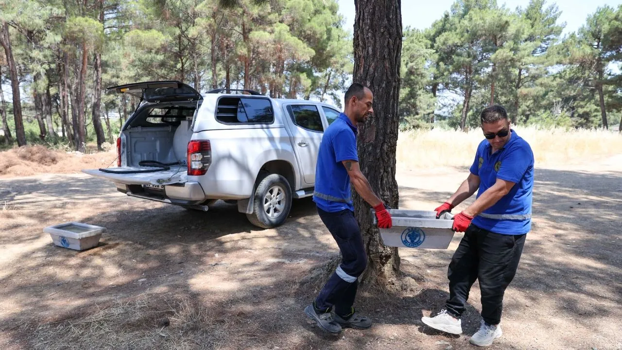Bucada Iyilik Hareketi Basladi Can Dostlara Hayat Kurtaran Destek 3.Jpg