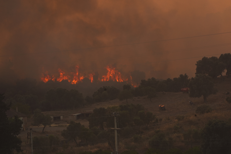 Burak Yilmaz 2025 Haziran New Folder (22) Aa 38432313