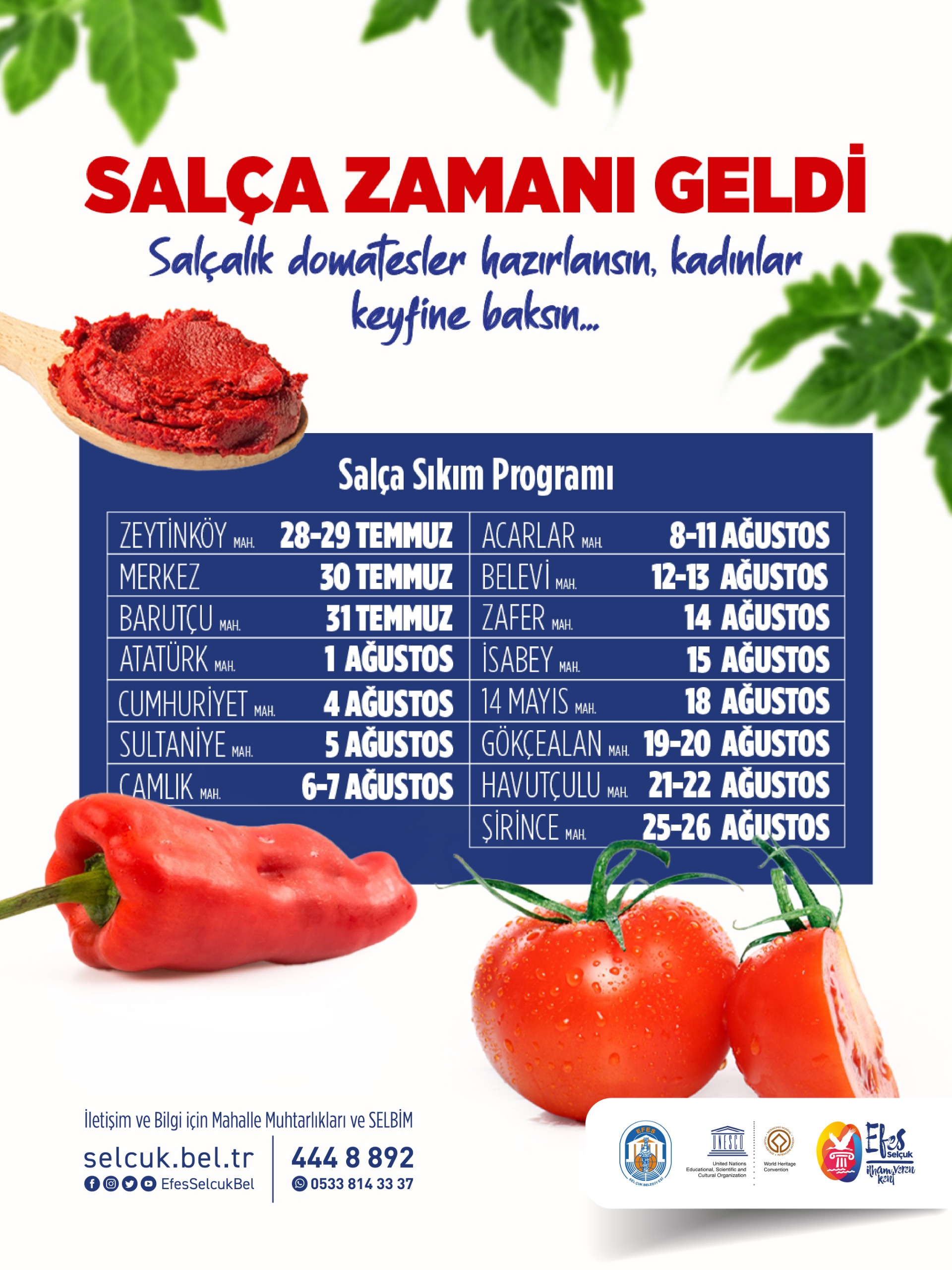 Efes Selçuk’ta Kişlik Salça Hazirliklari Başliyor (1)