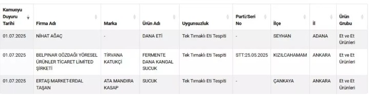 Ekran Görüntüsü 2025 07 01 211523