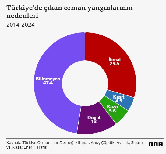 Ekran Görüntüsü 2025 07 07 192616