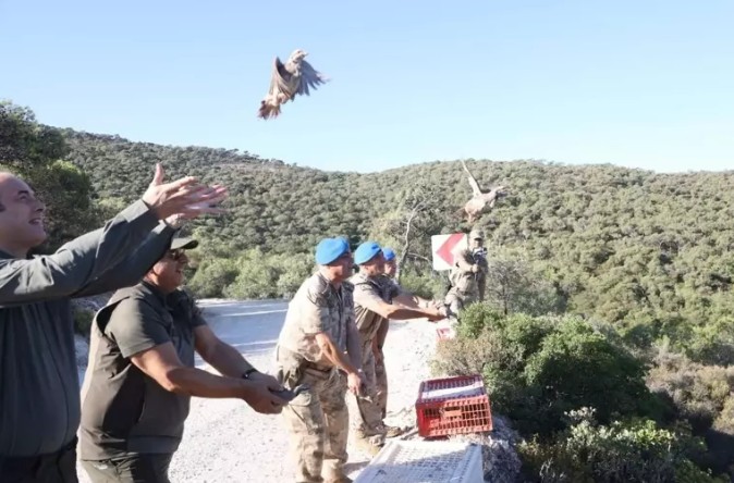 Ekran Görüntüsü 2025 07 08 213558