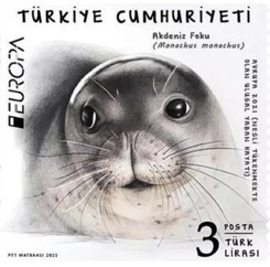 Ekran Görüntüsü 2025 07 10 202018