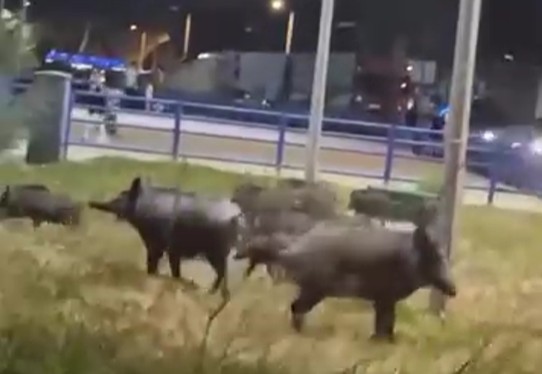 Ekran Görüntüsü 2025 07 15 222053