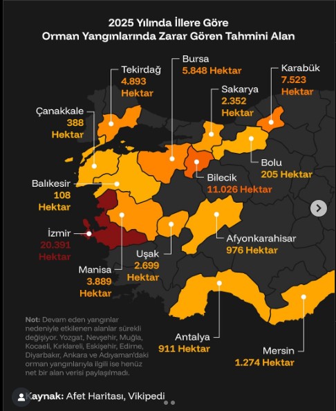 Ekran Görüntüsü 2025 07 28 223240