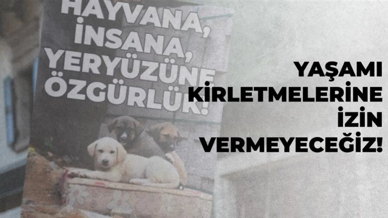 Hayvana Siddete Karsi Izmir Barosu Ayakta Suc Duyurusu Yapildi 1