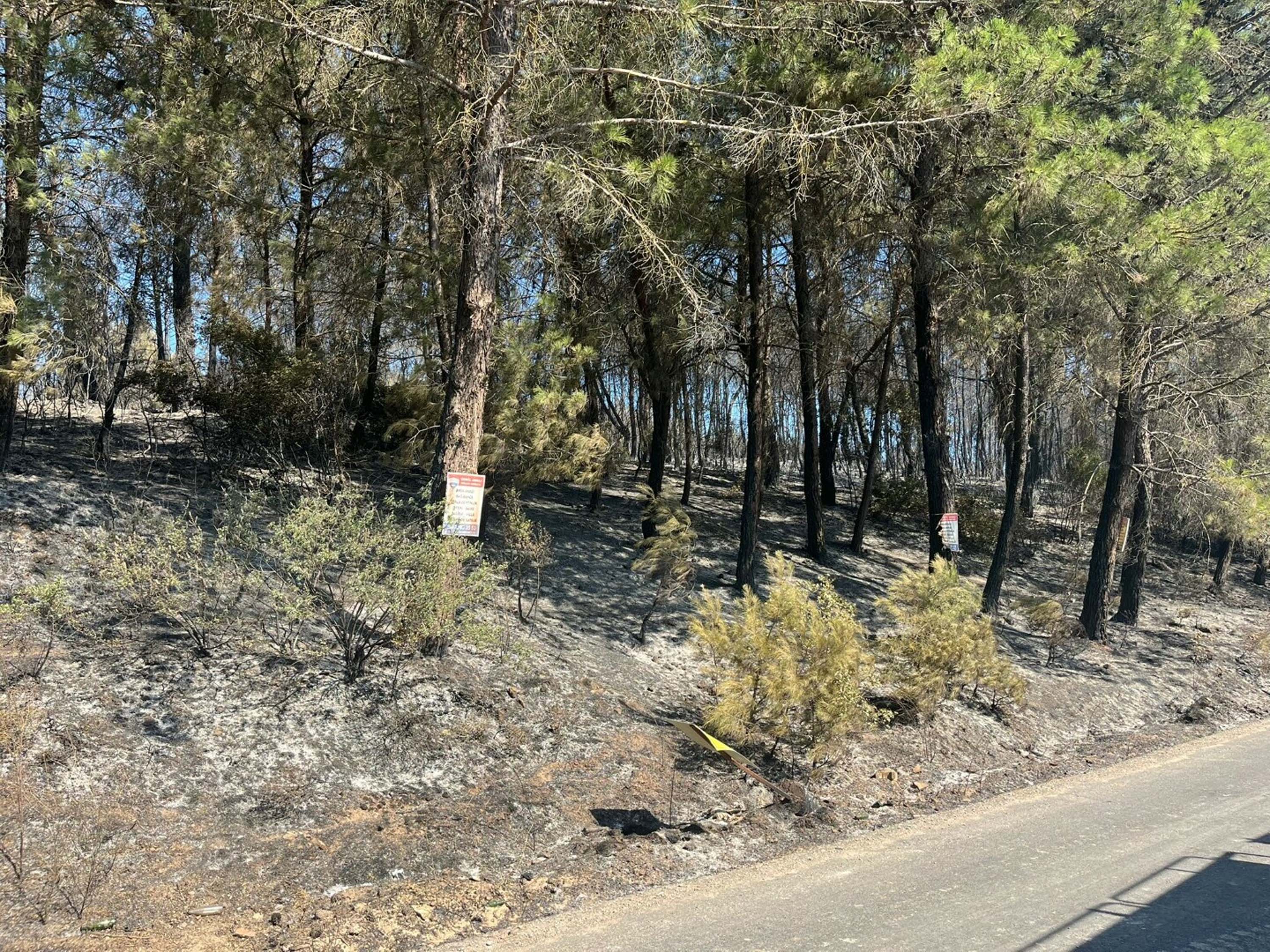 Izmir Bucadaki Orman Yangini 2Nci Gunu 798680 236404 (1)