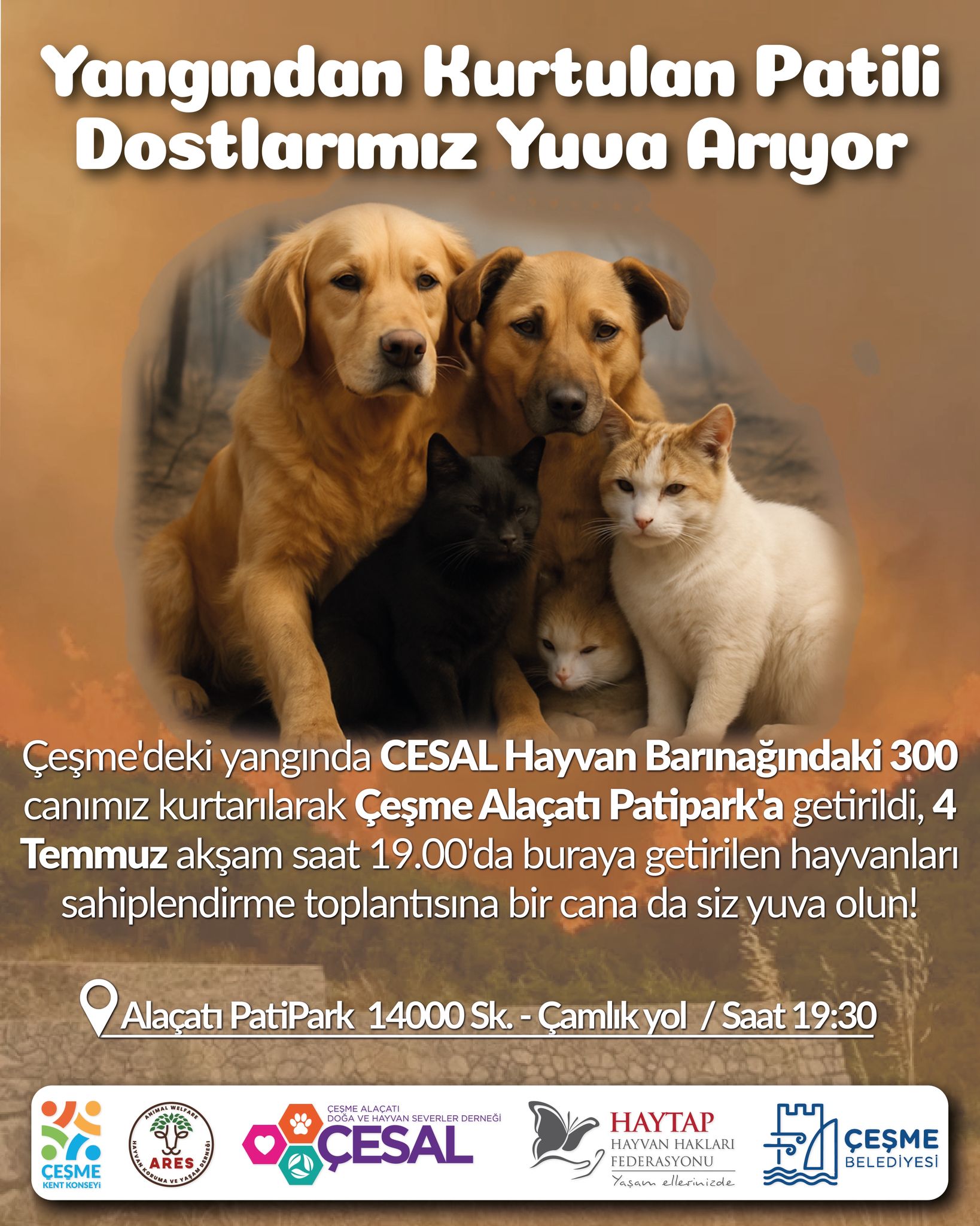 Whatsapp Image 2025 07 04 At 11.28.32