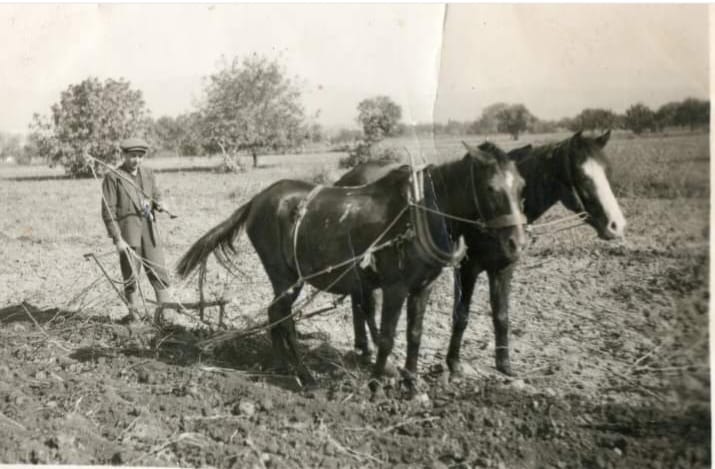 Bornova Eski Fotoğrafları Sosyal Medya Grubundan Bir Görsel