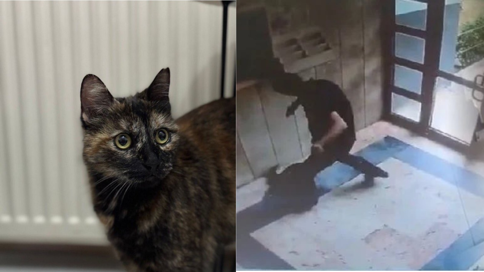 Candostlar Cezve Dunyadanbihaber (1)