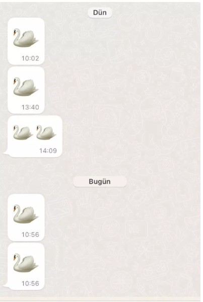 Ekran Görüntüsü 2025 08 04 182412