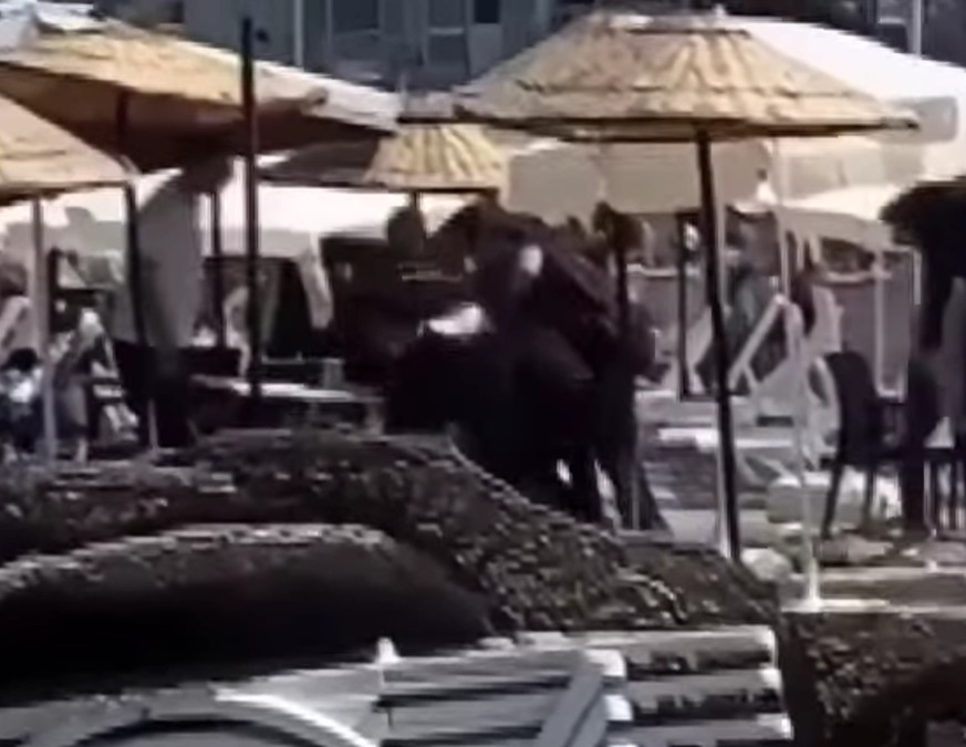 Ekran Görüntüsü 2025 08 04 201411