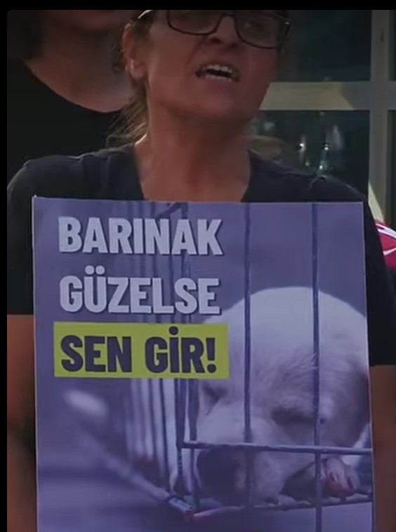 Ekran Görüntüsü 2025 08 15 205106