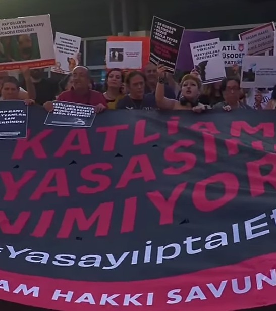 Ekran Görüntüsü 2025 08 15 205150
