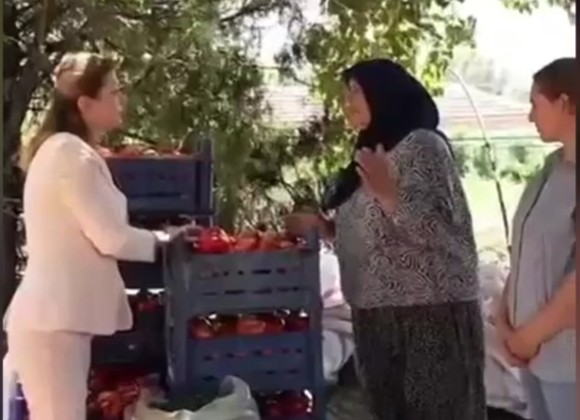 Ekran Görüntüsü 2025 08 17 223008