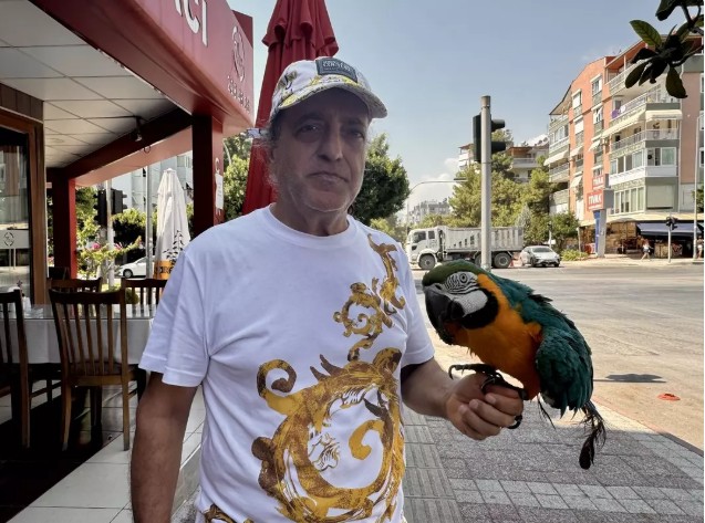 Ekran Görüntüsü 2025 08 26 181536