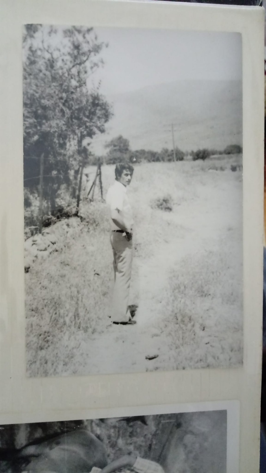 Eski Bornova Ovası, 1974