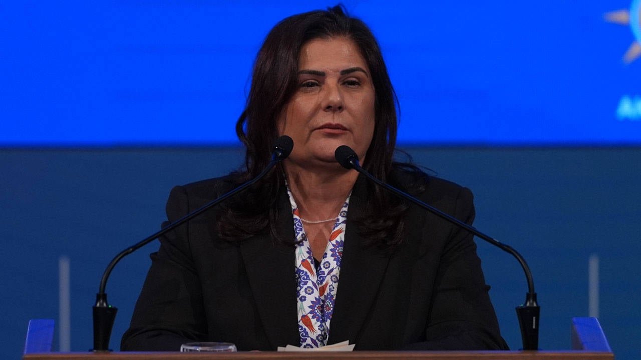 Iller Bankasi Genel Muduru Turk Ten Ozlem Cercioglu Aciklamasi