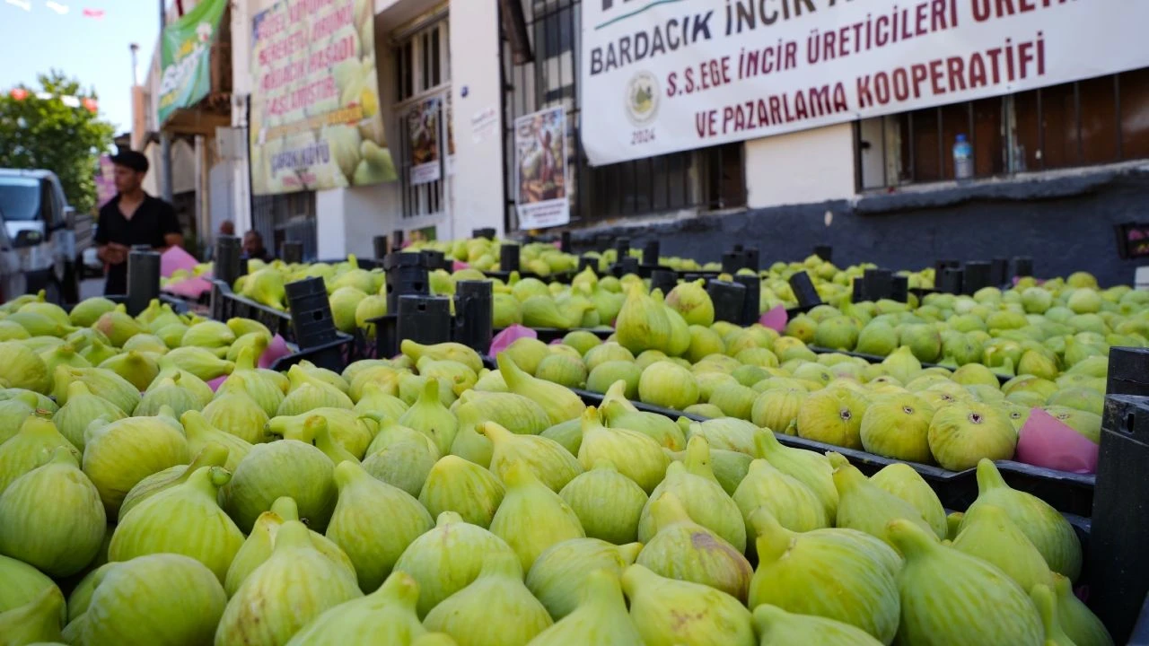 Torbalinin Bardakcik Inciri Degerine Kavustu Dunya Pazarina Yayildi 3.Jpg