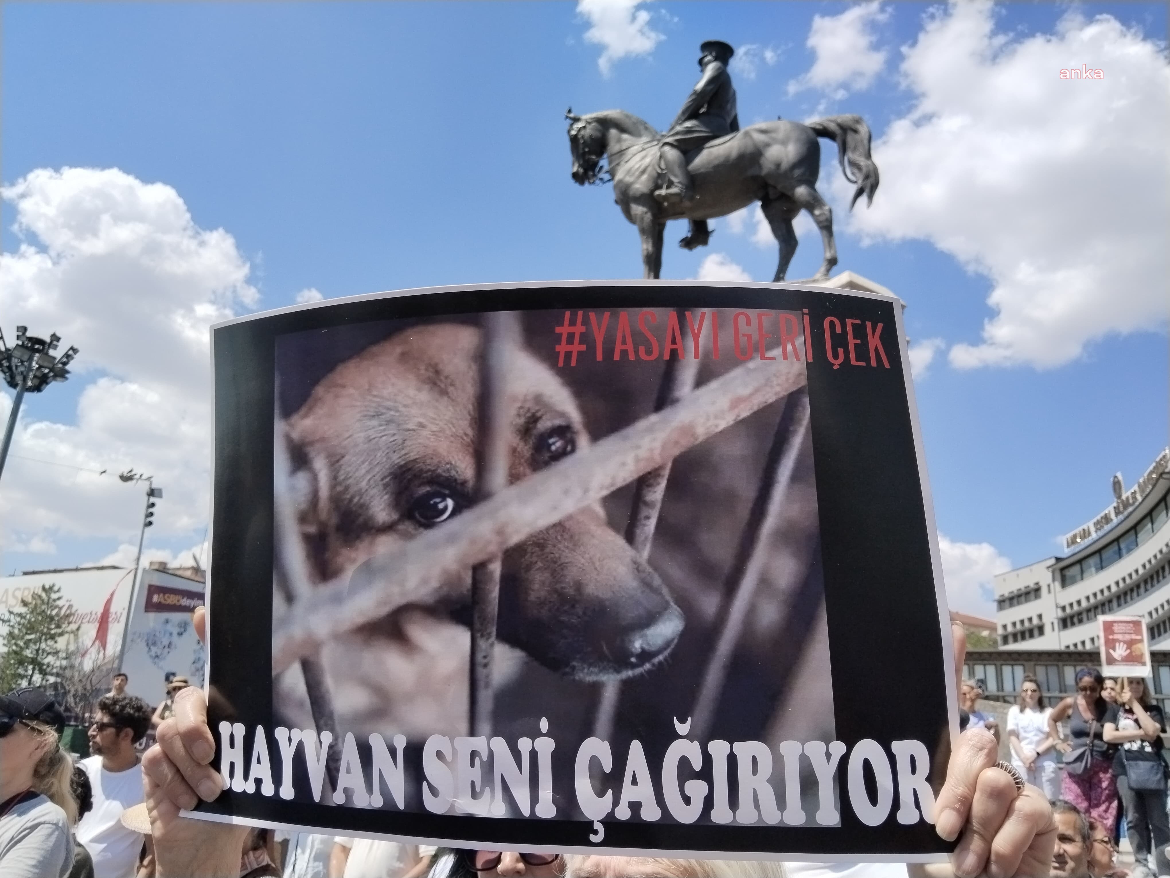 Candosrlar I Z M I R L I H A Y V A N S E V E R L E R Dunyadanbihaber1