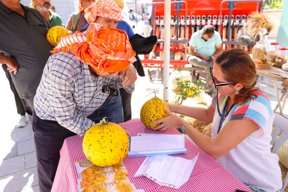 Çeşme, Üretim Kültürünü Kutladı 10. Ovacık Tarım Ve Sakız Koyunu Festivali Tamamlandıphoto 2025 09 27 17 49 14