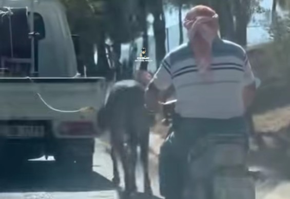 Ekran Görüntüsü 2025 09 25 191731