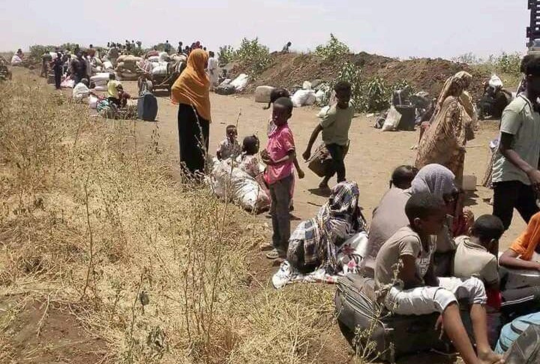 571138464 1130322682545178 5798264866203305453 N