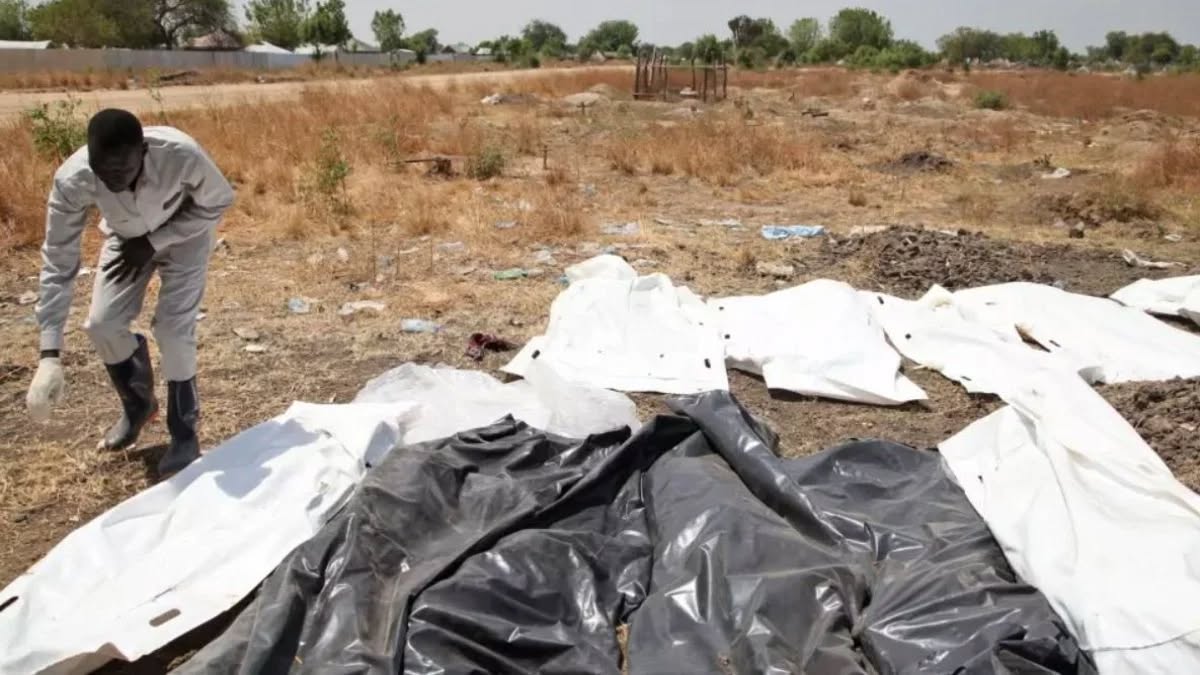 571181536 1130322662545180 2121855556909173441 N