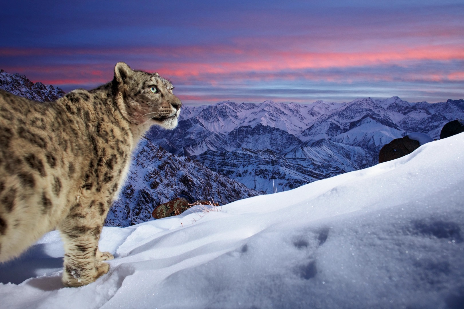 Candostlar K A R L E O P A R I Dunyadanbihaber