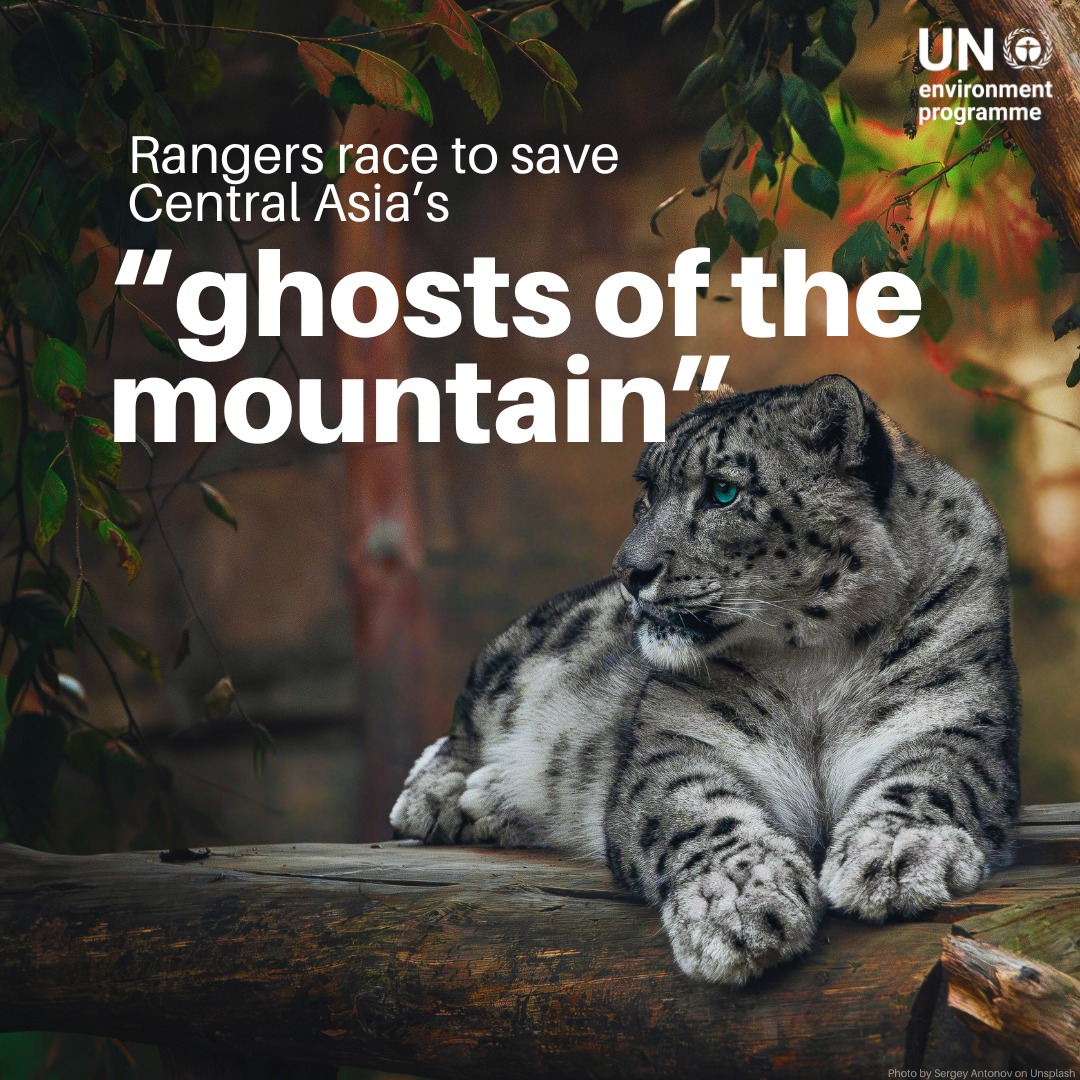 Candostlar K A R L E O P A R I Dunyadanbihaber2