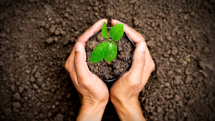 Candostlar K U L A G I M I Z A K U P E-9