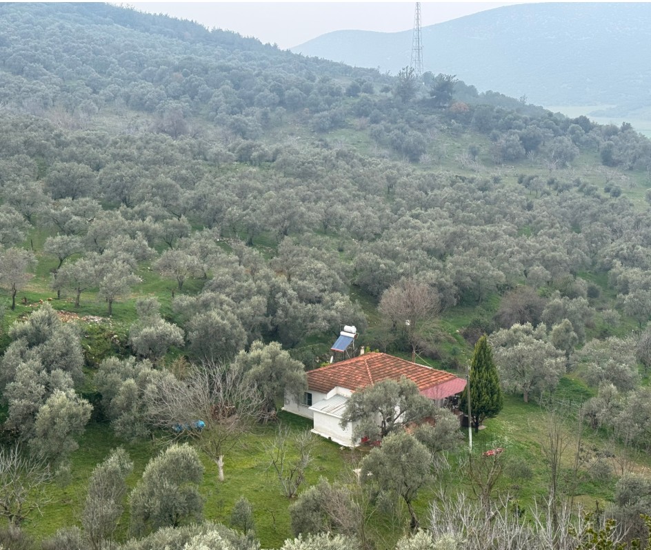 Ekran Görüntüsü 2025 10 12 233609