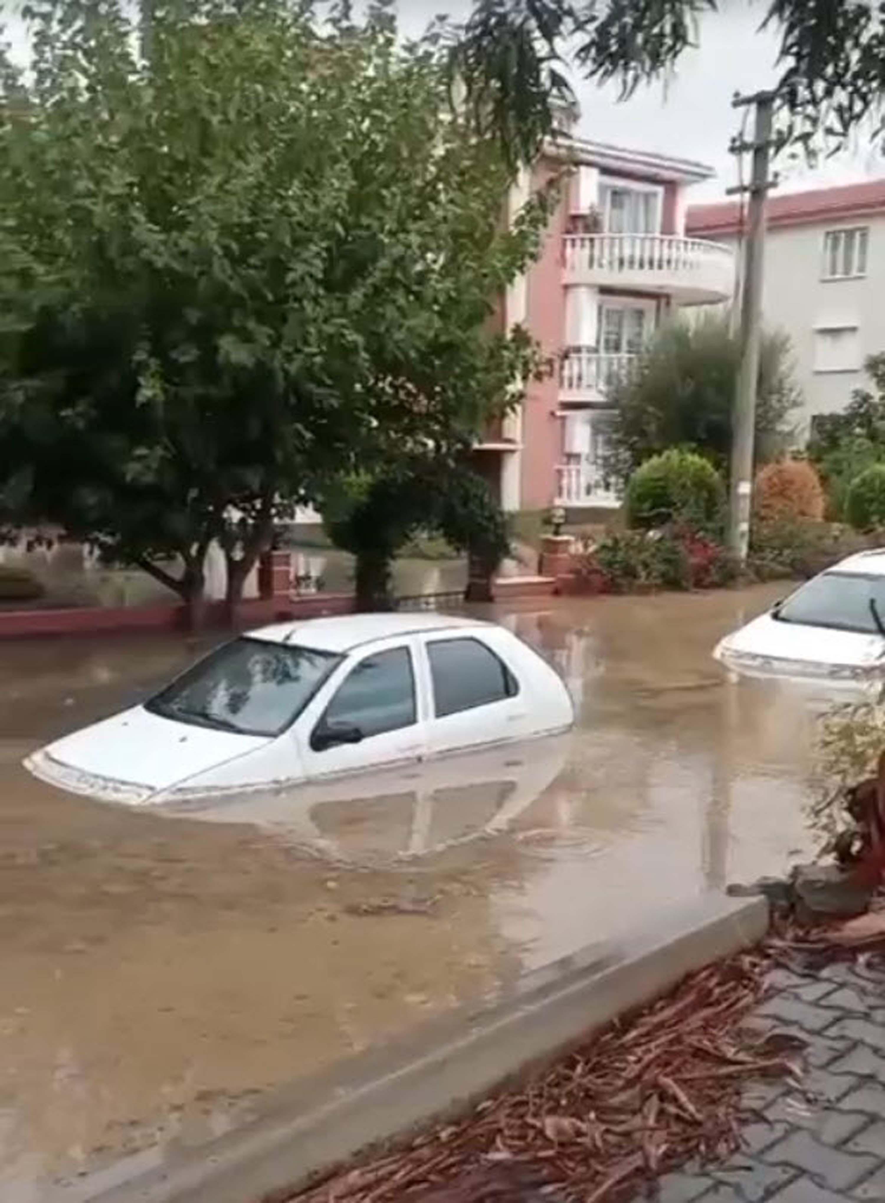 I Z M I R D E S E L V E K U R A K L I K A Y N I A N D A Y A S A 987751 293240