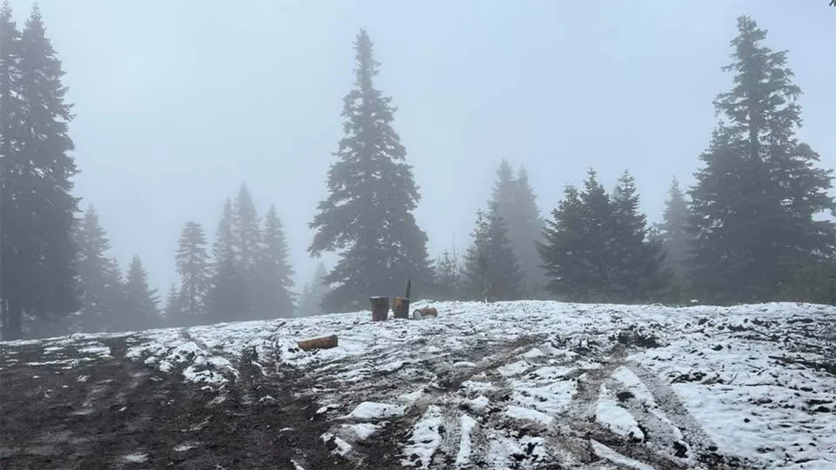 Kastamonu