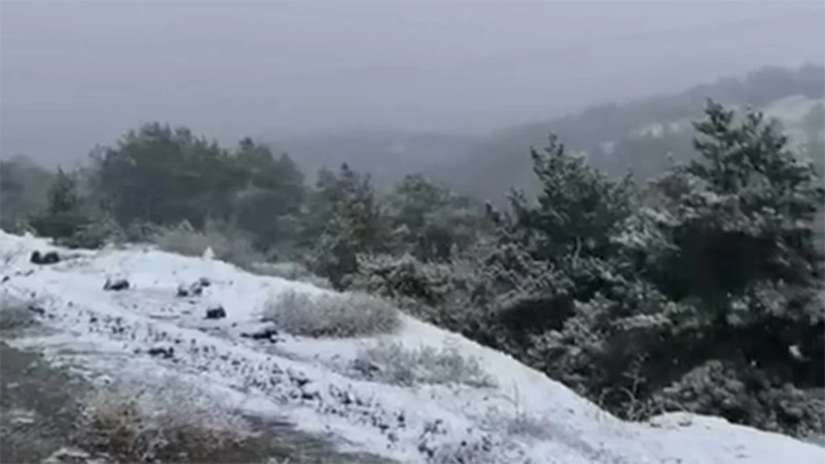 Tokat-4