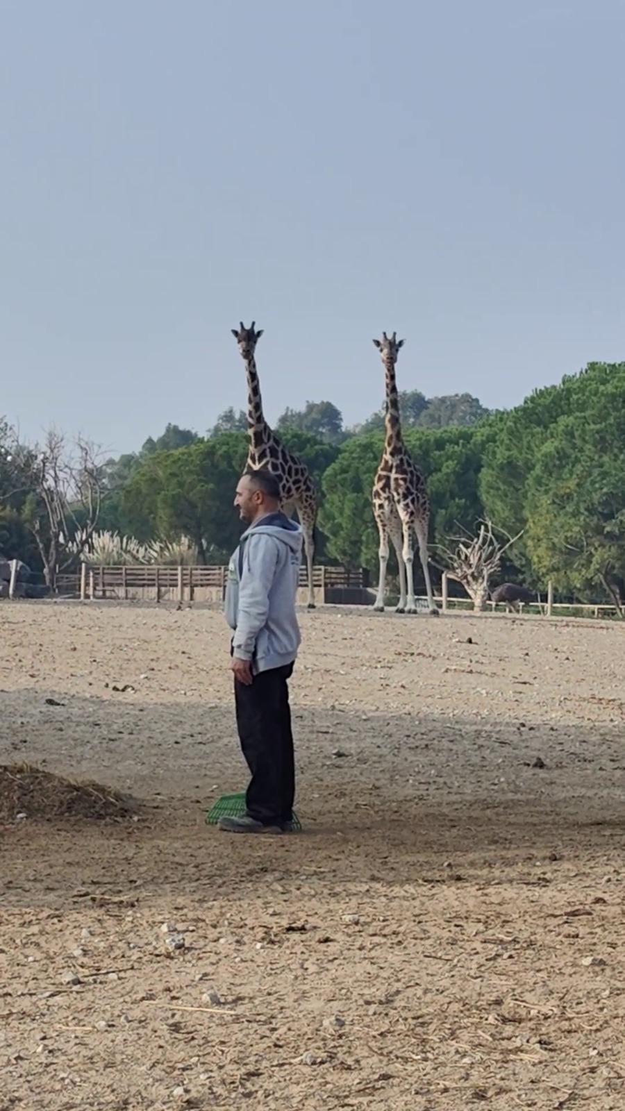 10.11.2025 9E0Da679 087D 490A 9378 D43671Ff7Ed7 (1)