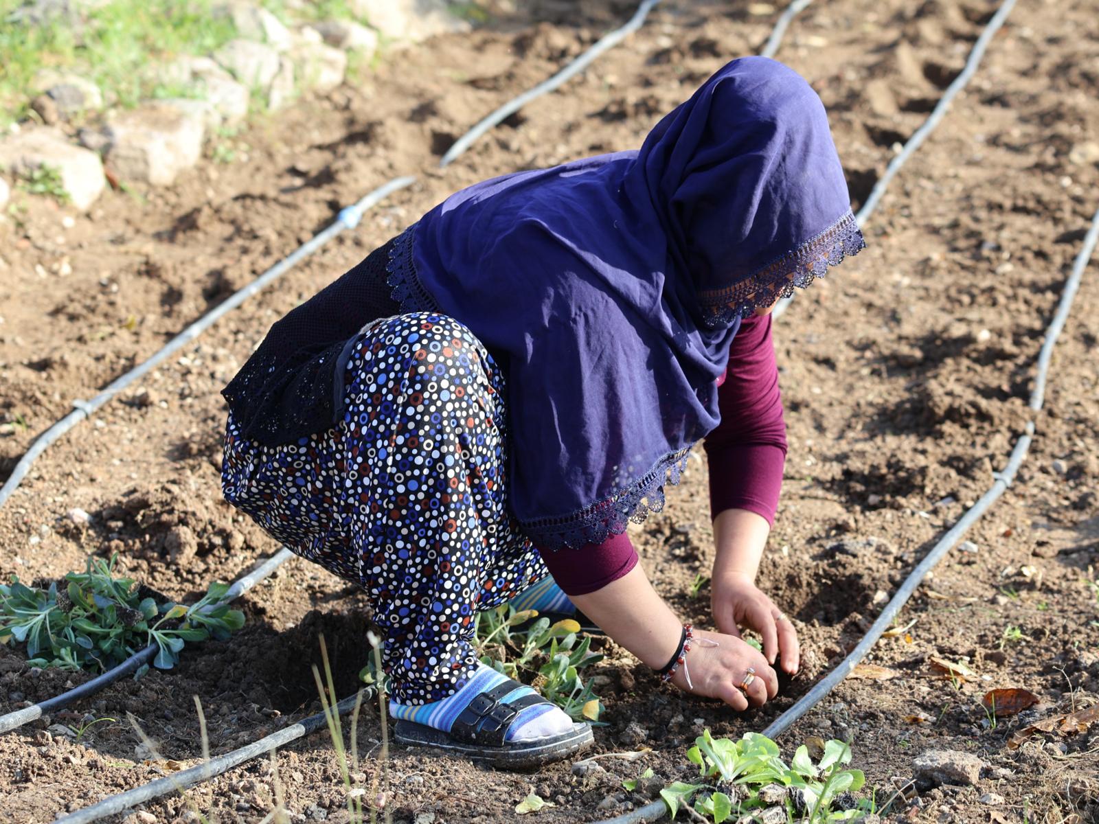 17.11.2025 5F7Bb9Aa 77F4 489A A6Dd Ea5C47423A91