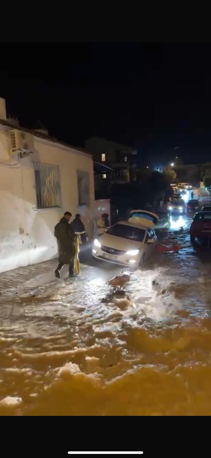 23 R W S D F F V V V V