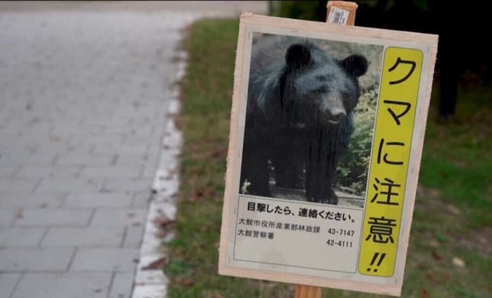 3838654 40Fb4Dbdc118740712E589368661F33E