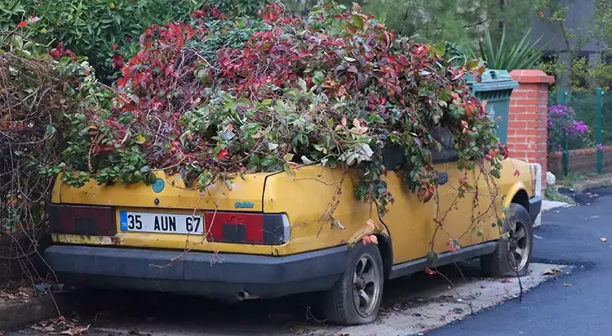 6915E332F6450181B1A7F466