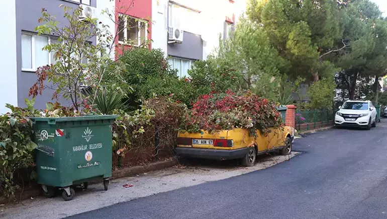 6915E3Fdf6450181B1A7F46A