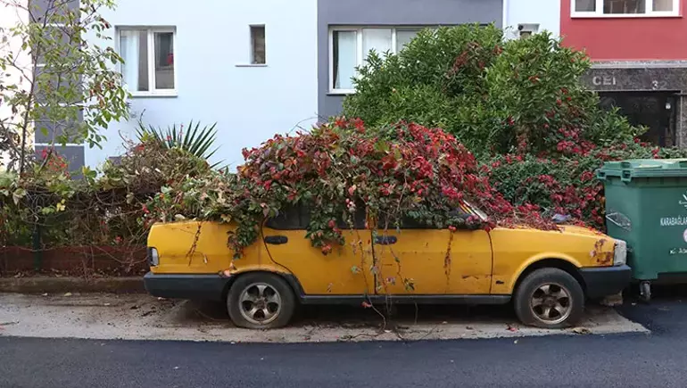 6915E44Af6450181B1A7F471