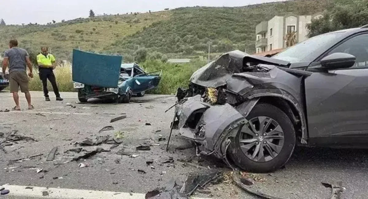 691Adbdc733A0206 W1200Xh648