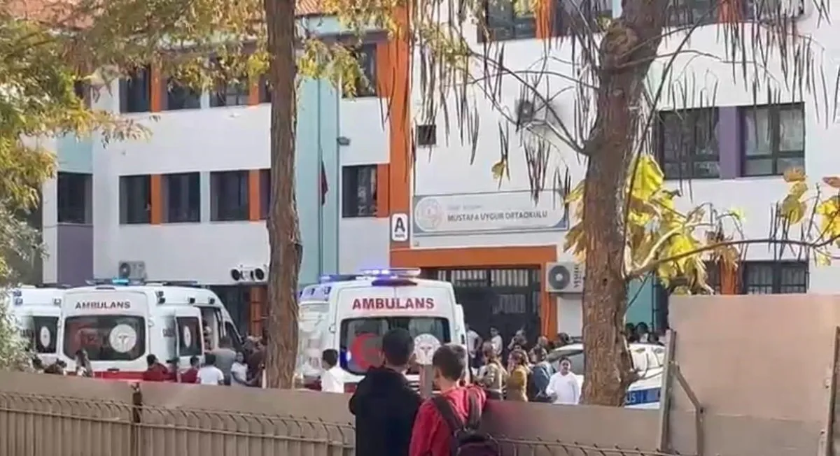 691Da6D424C36825 W1200Xh652