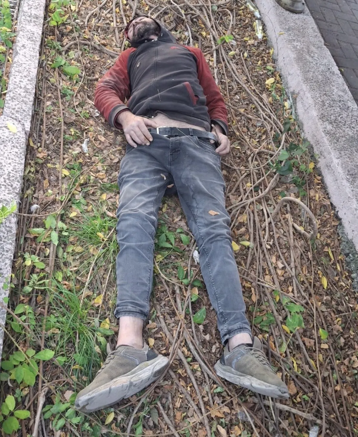 691F738559196329 W1200Xh1462