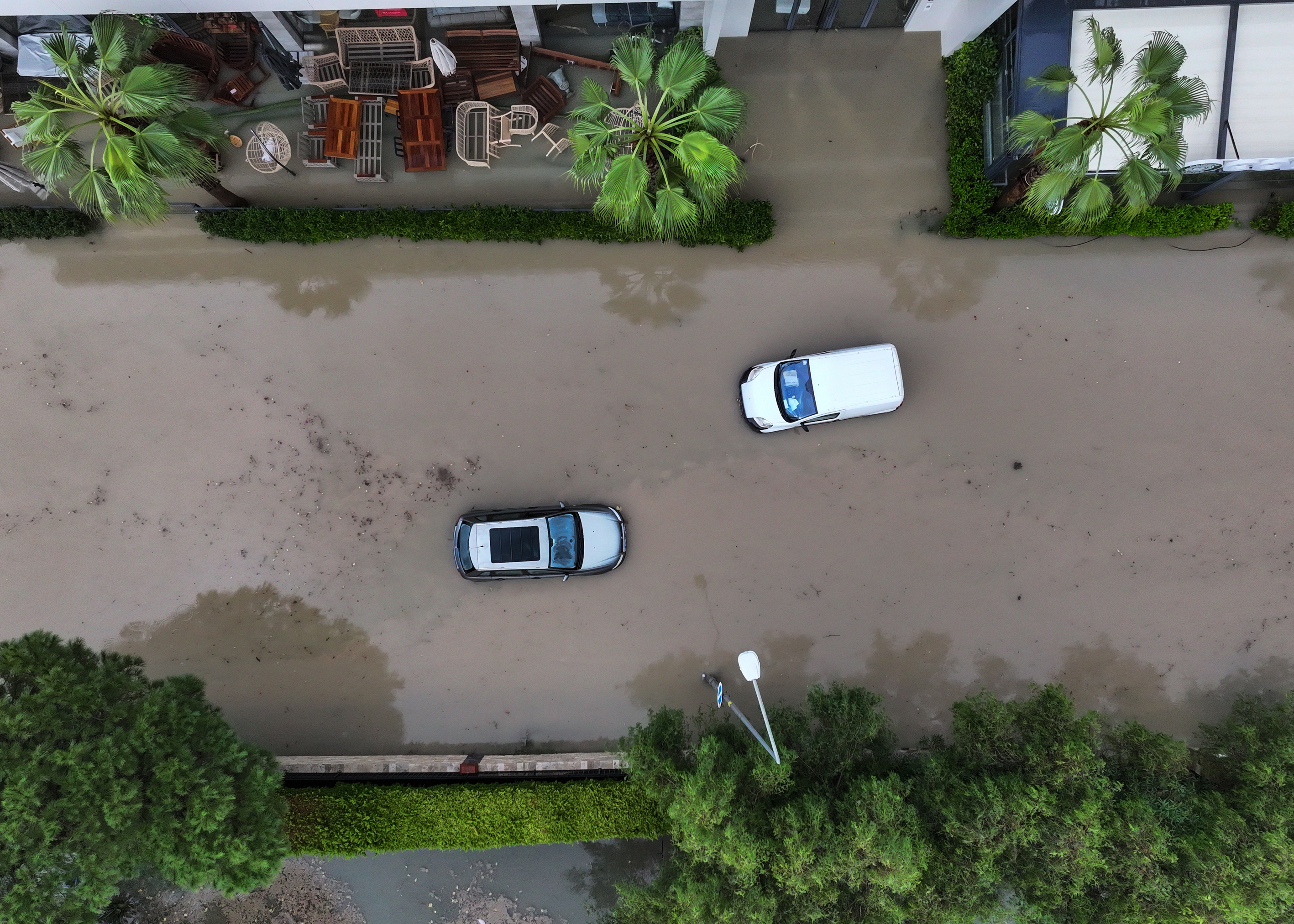 A A 20251129 39841073 39841071 I Z M I R I N C E S M E I L C E S I N D E S A G A N A K H A Y A T I O L U M S U Z E T K I L I Y O R