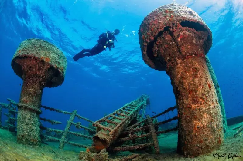 Ag458 1630747447 8634