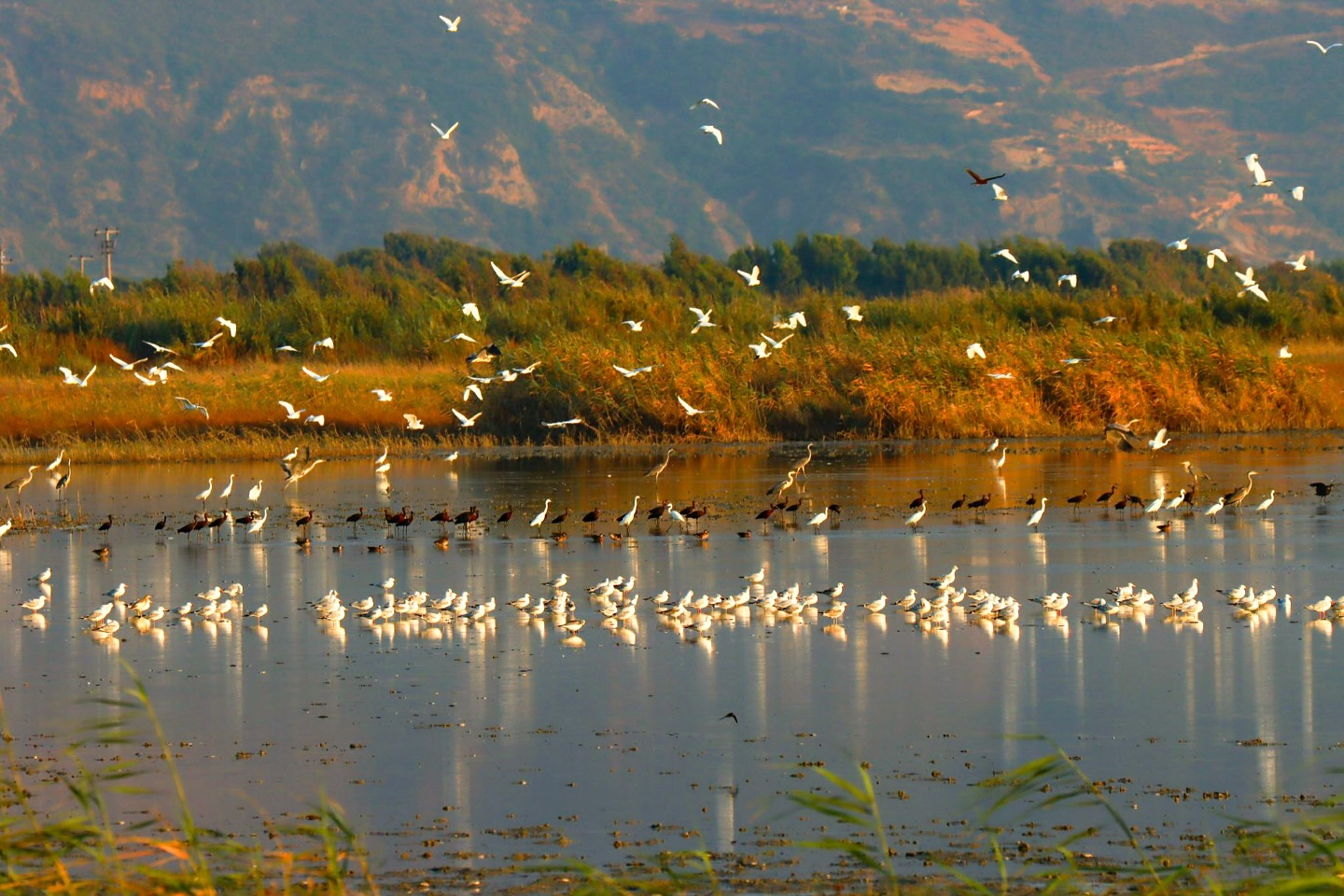 Candostlar S T K M I L L E Y H A Dunyadan-1