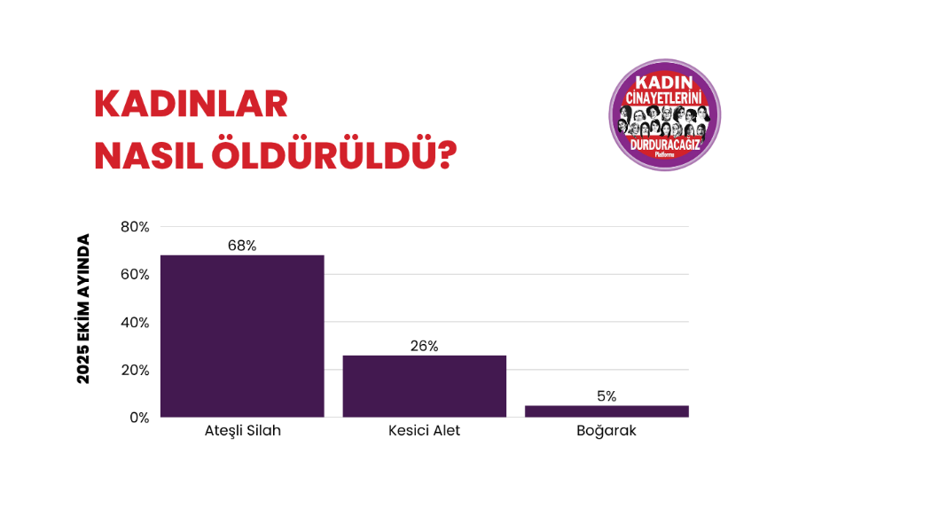 Ekran Görüntüsü 2025 11 05 140753