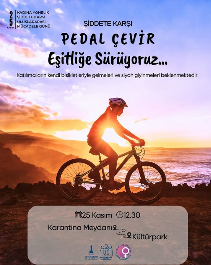 Ekran Görüntüsü 2025 11 20 163005